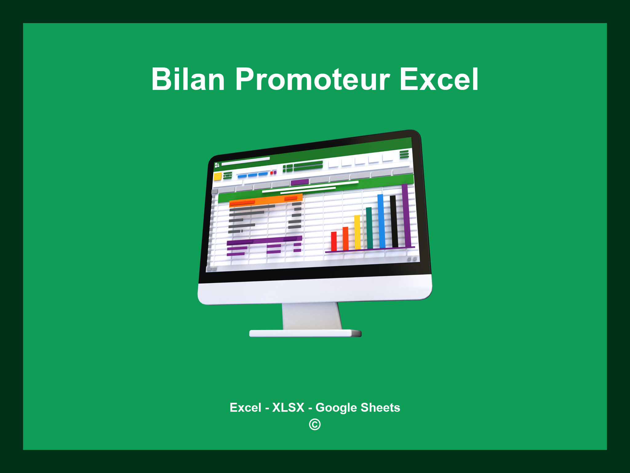 Bilan Promoteur Excel